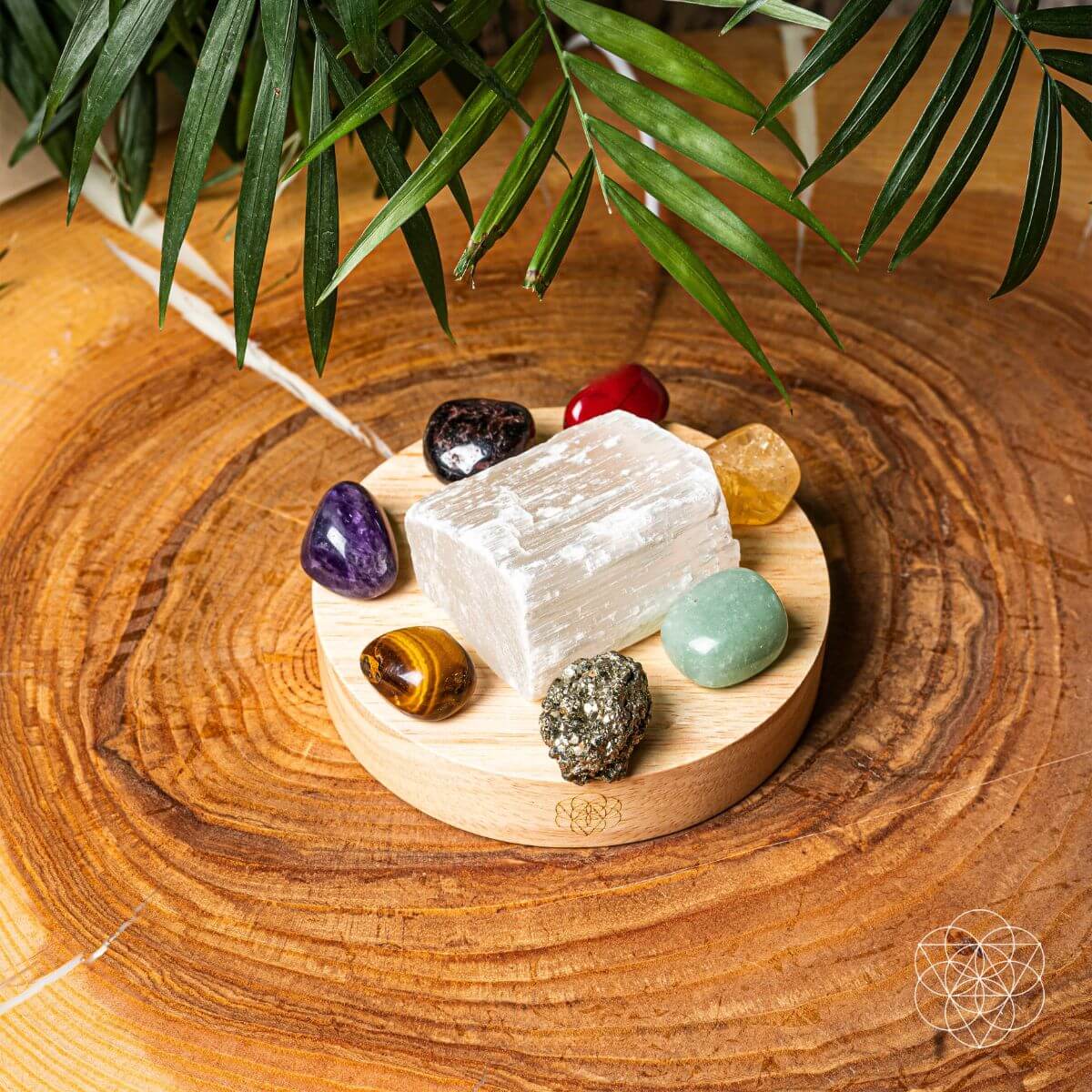 Money Magnet Crystal Lamp – Selenite Core & Prosperity Stones